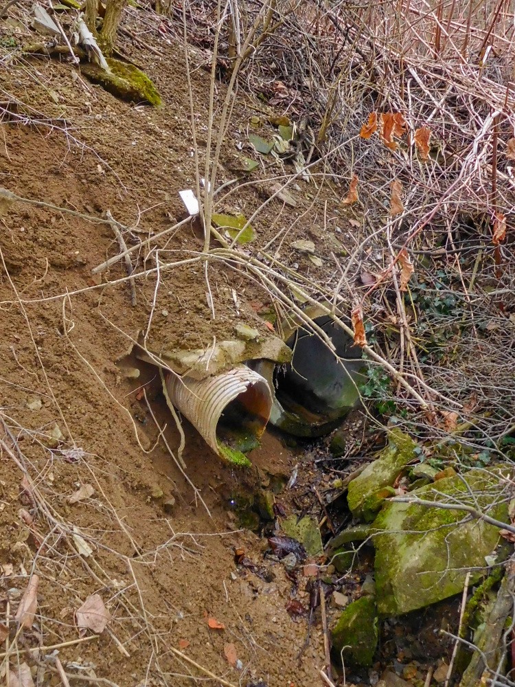 studánka Omická Studýnka (15398) studánka Omická Studýnka (15398)