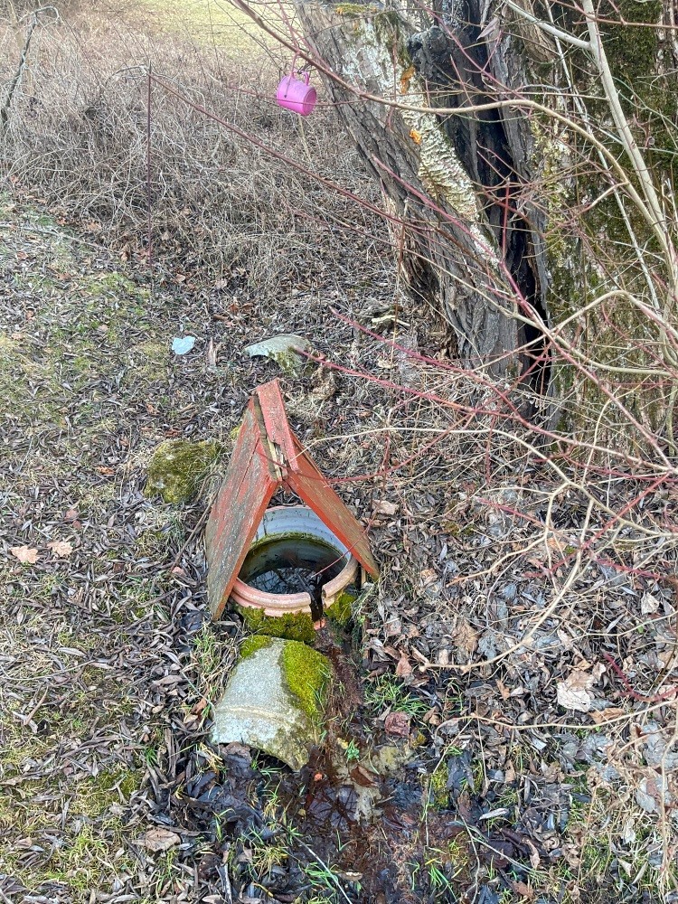 studánka beze jména (15405)