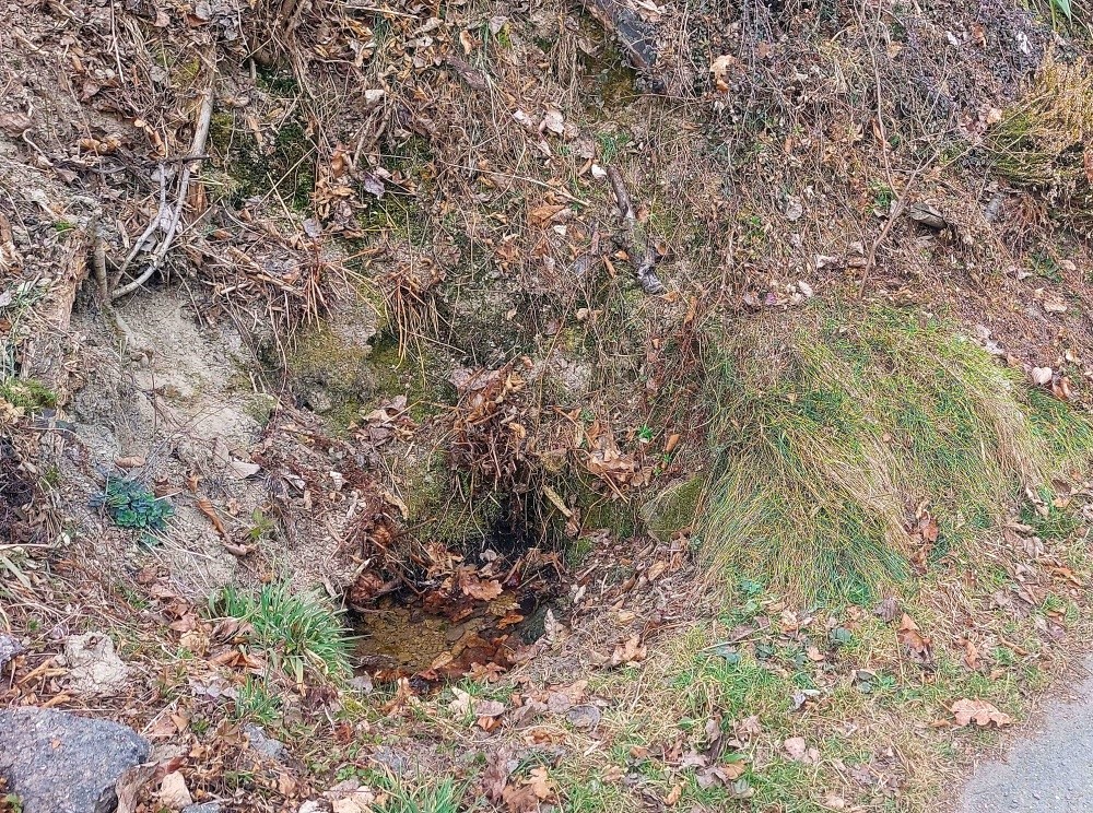 pramen U cesty (15408)