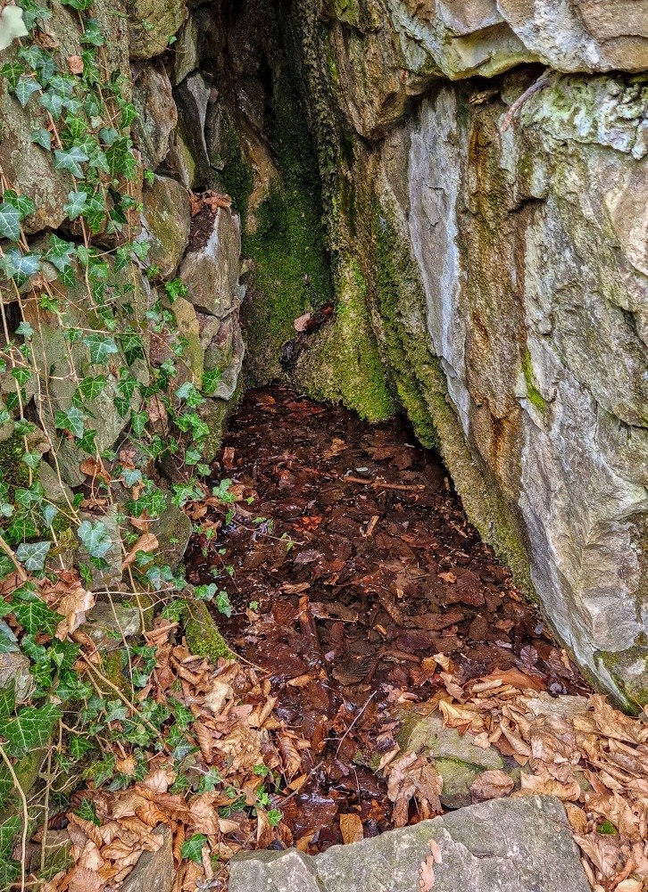 studánka bez jména (15412)