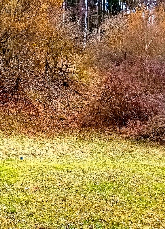 pramen Kyselka Dolní Kramolín (15413) pramen Kyselka Dolní Kramolín (15413)