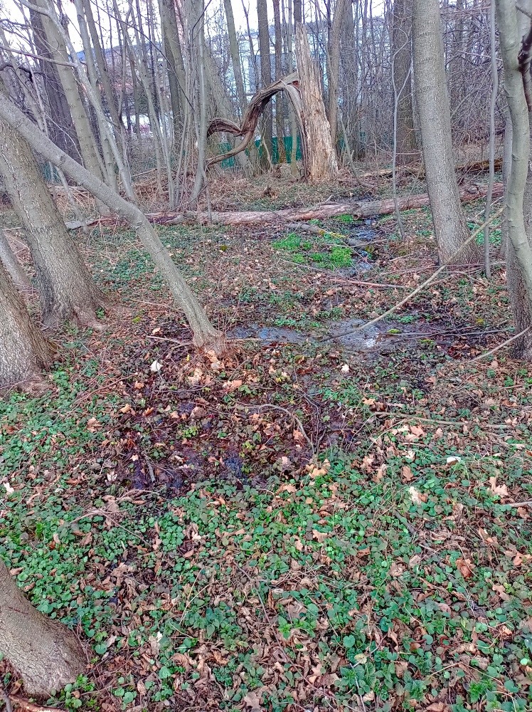 prameniště bez jména (15416)