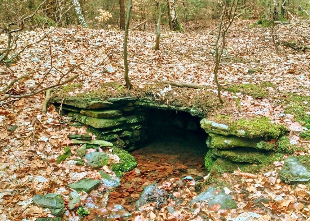 studánka bez jména (15418)