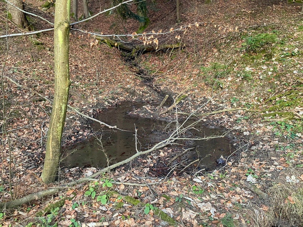 pramen bez jména (15422)