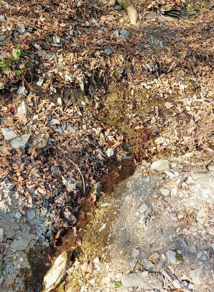 pramen Ve skále (15423)