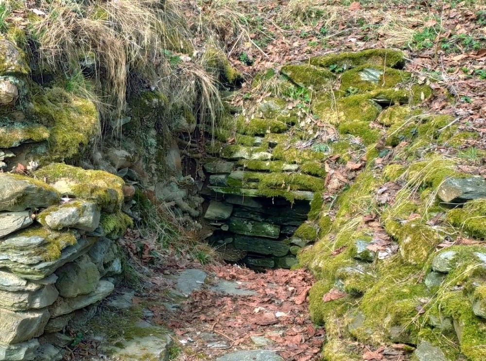 pramen U Hadí královny (15428)