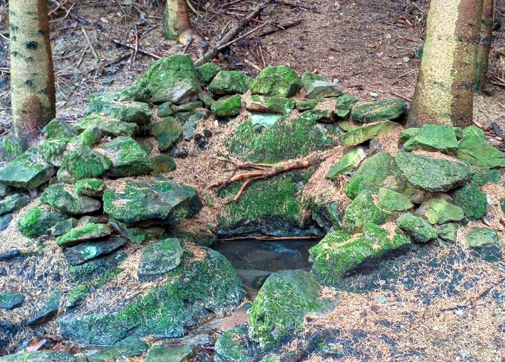 studánka Pod skalami (15432)