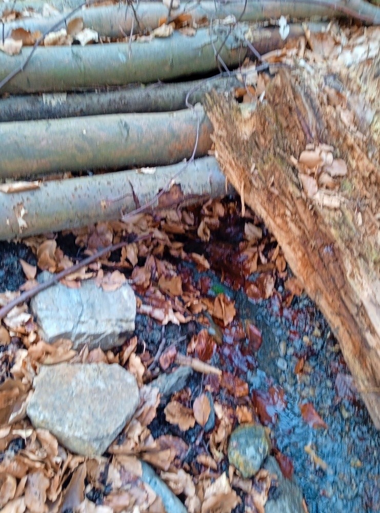 studánka Zatracená (15434) studánka Zatracená (15434)