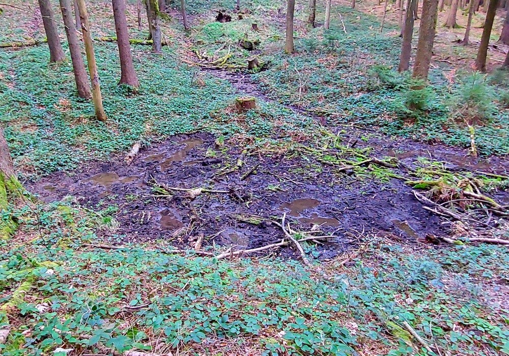 prameniště Střední Jelenice (15438)