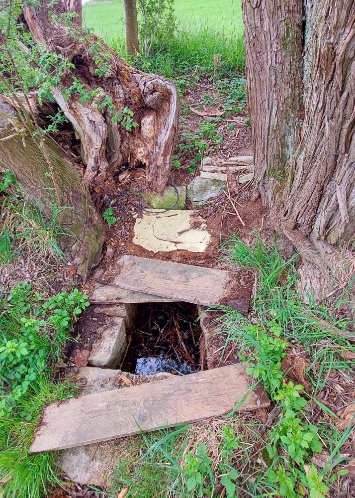 Benešova studánka (15439)