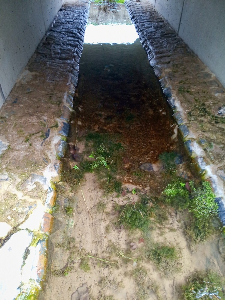 pramen potok Říčí (15441) pramen potok Říčí (15441)