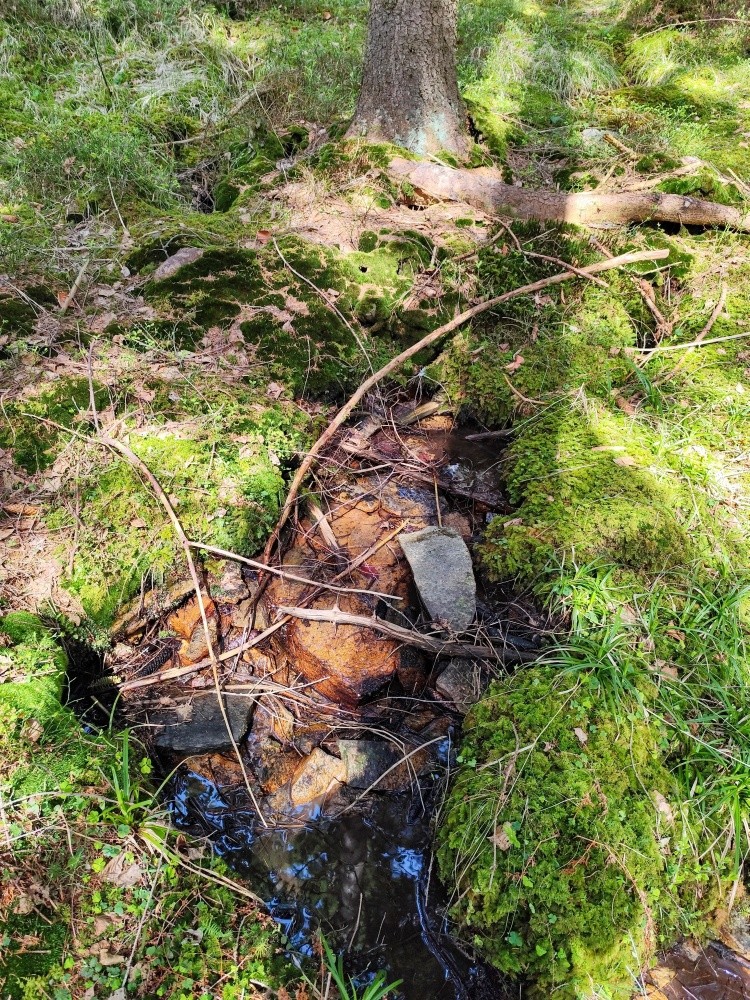 prameniště Podolský (15447)