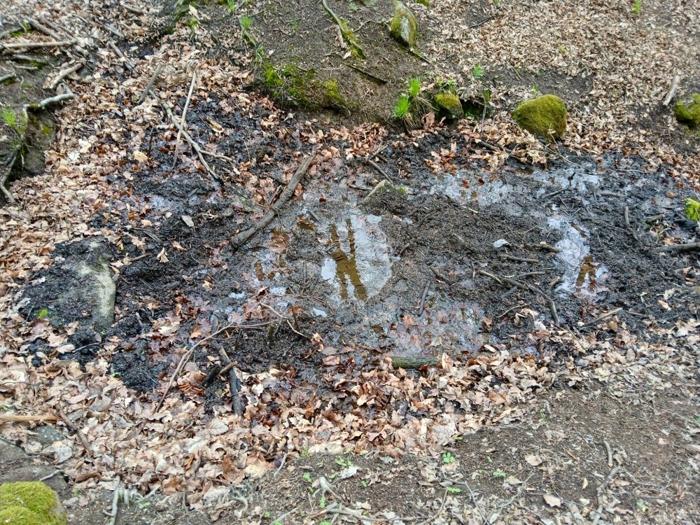 pramen bez jména (15448)