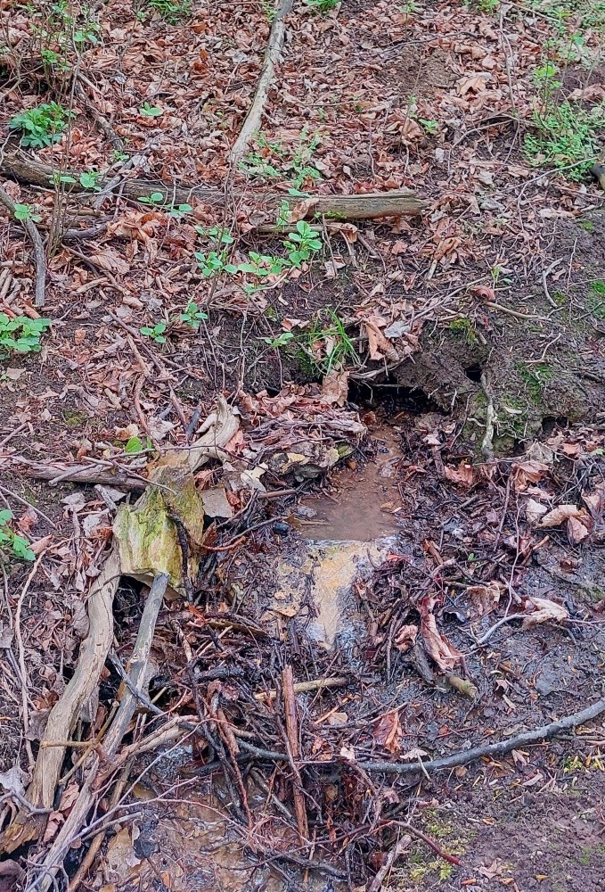studánka Nad Zavadilkou (15452)