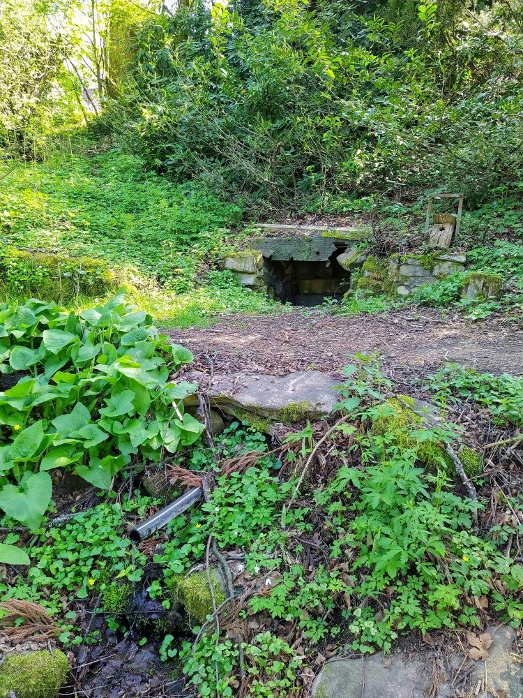 studánka Fritscheho (15455)