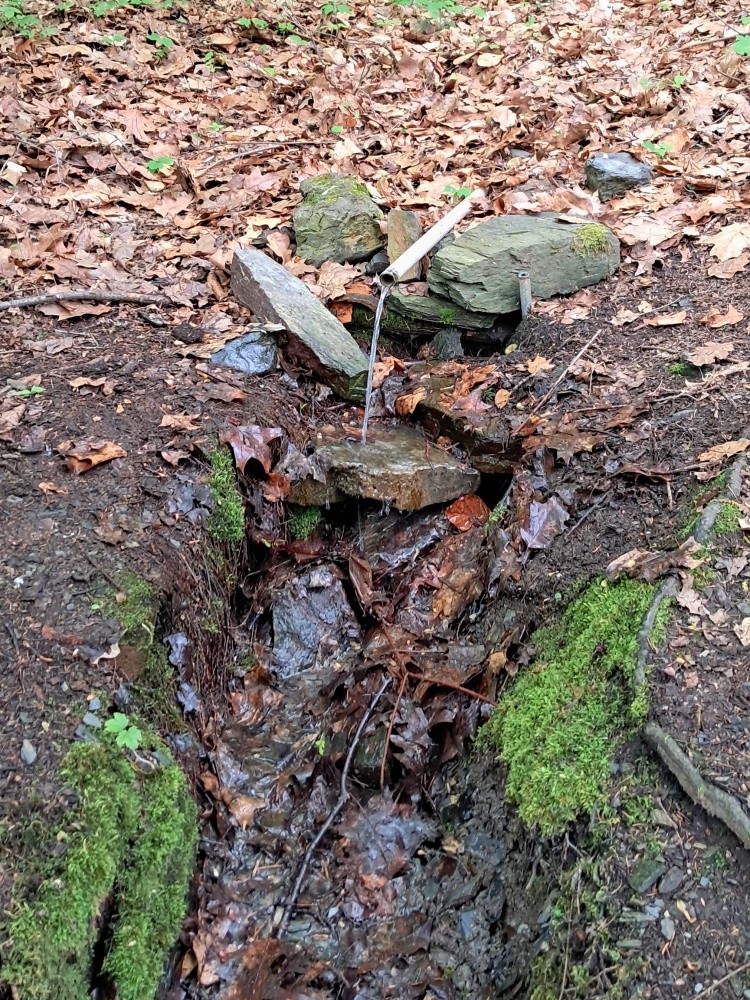 pramen bez jména (15458)