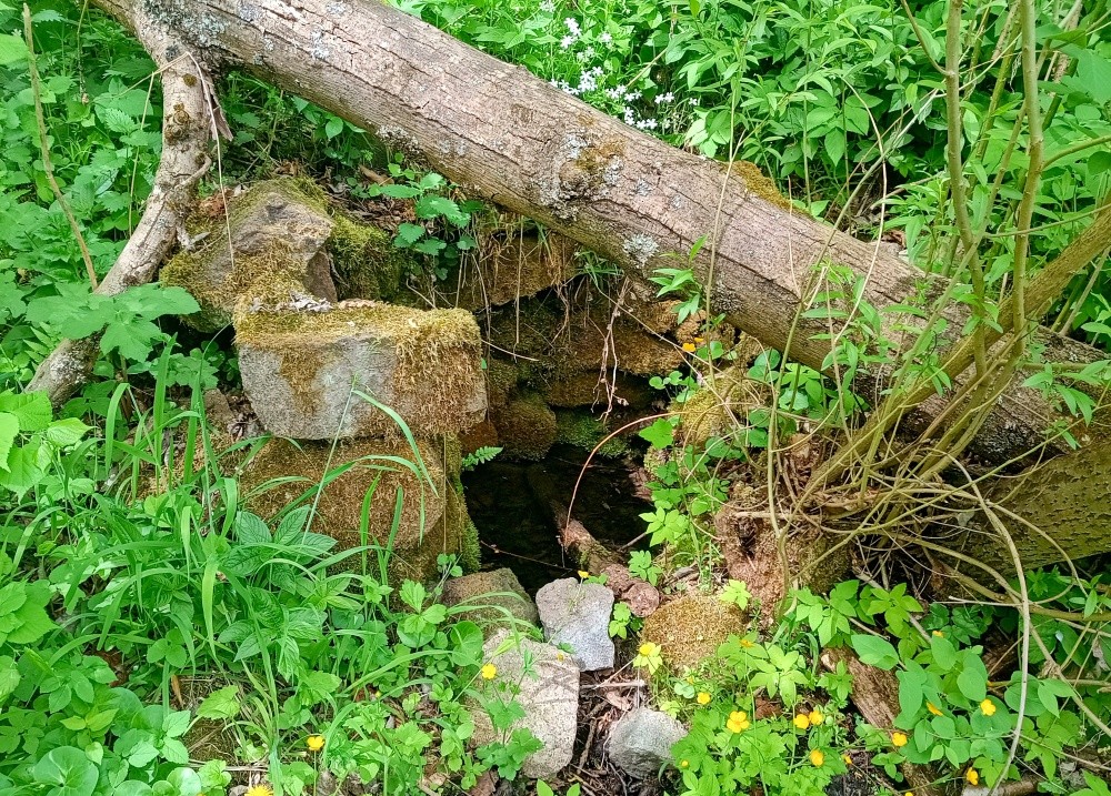 studánka Mezi mlýny (15459)