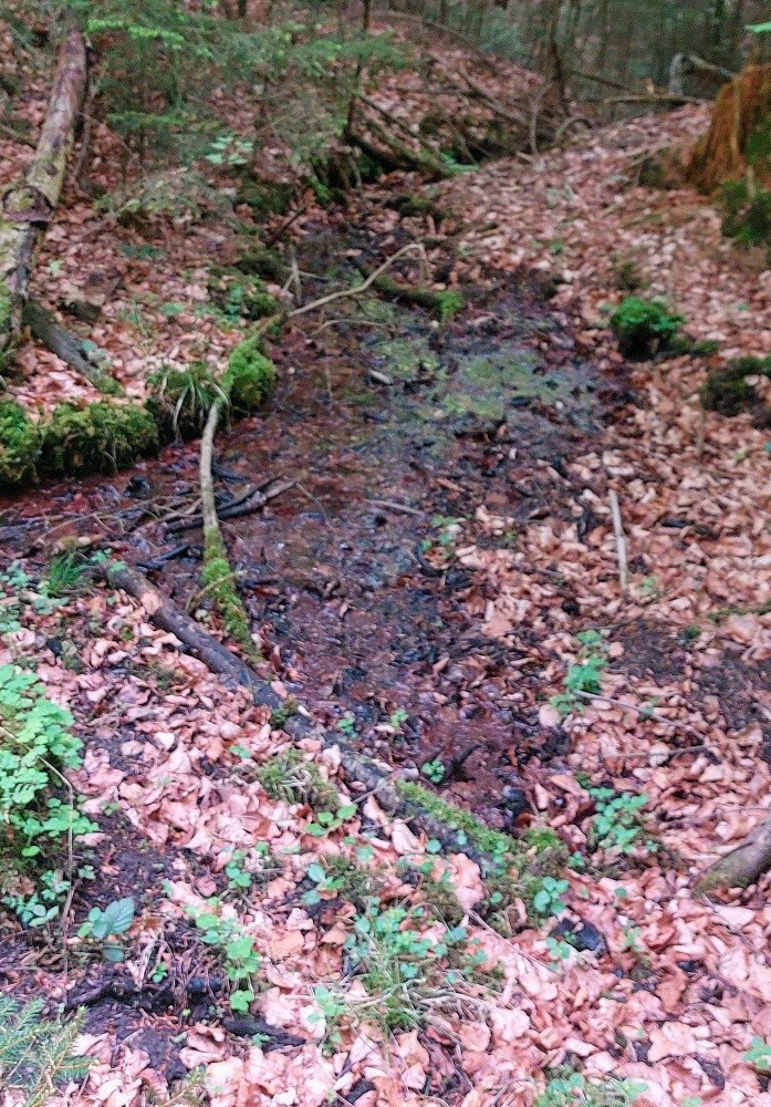 pramen Vili 2 (15462)