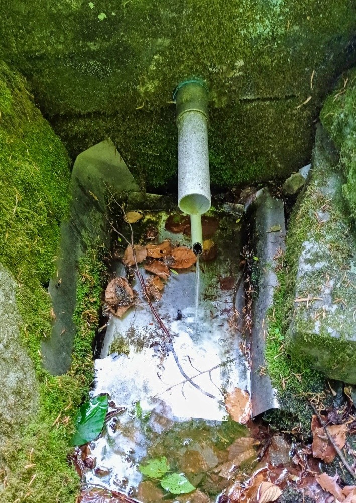 studánka Bazilka (15465)