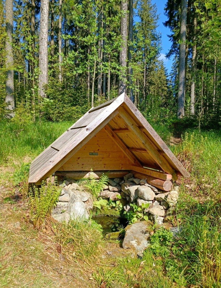 studánka bez jména (15467)