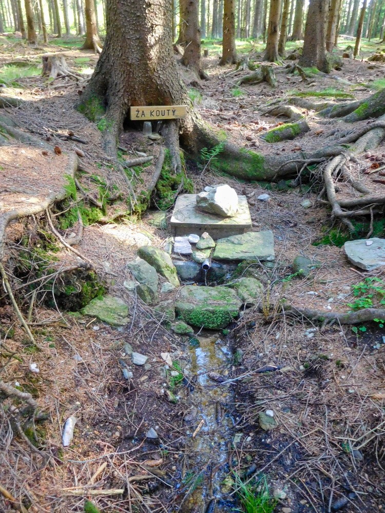 studánka Za Kouty (15469) studánka Za Kouty (15469)