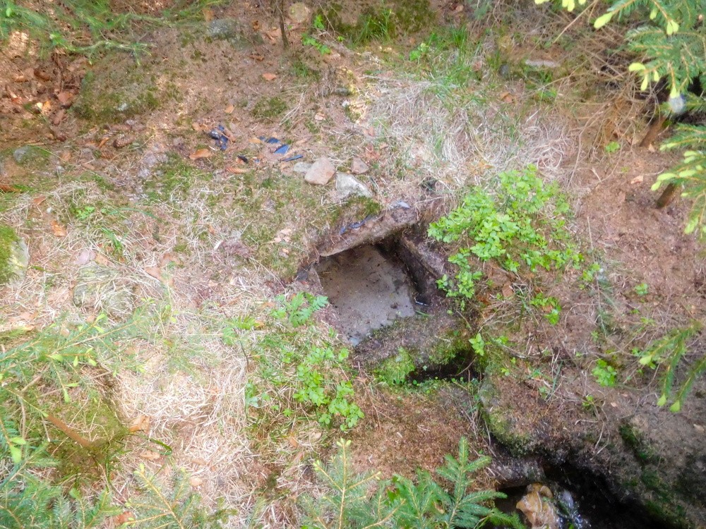 studánka V Zádušním (15472) studánka V Zádušním (15472)