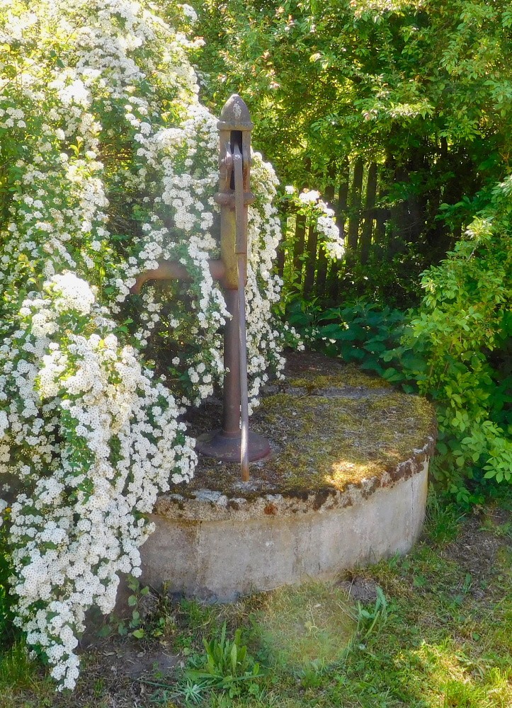 studna bez jména (15475)