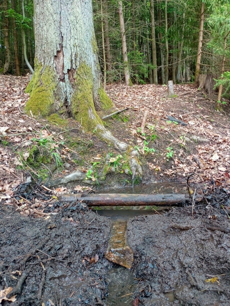 Anninčina studánka (15476)