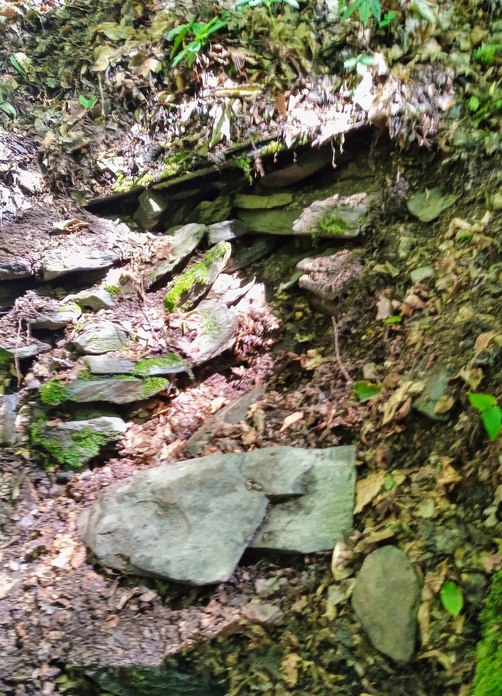 studánka Tulinka (15477) studánka Tulinka (15477)