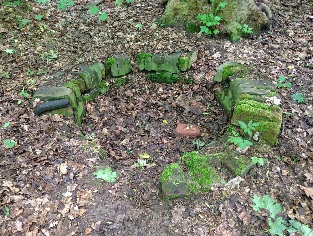 studánka bez jména (15481) studánka bez jména (15481)