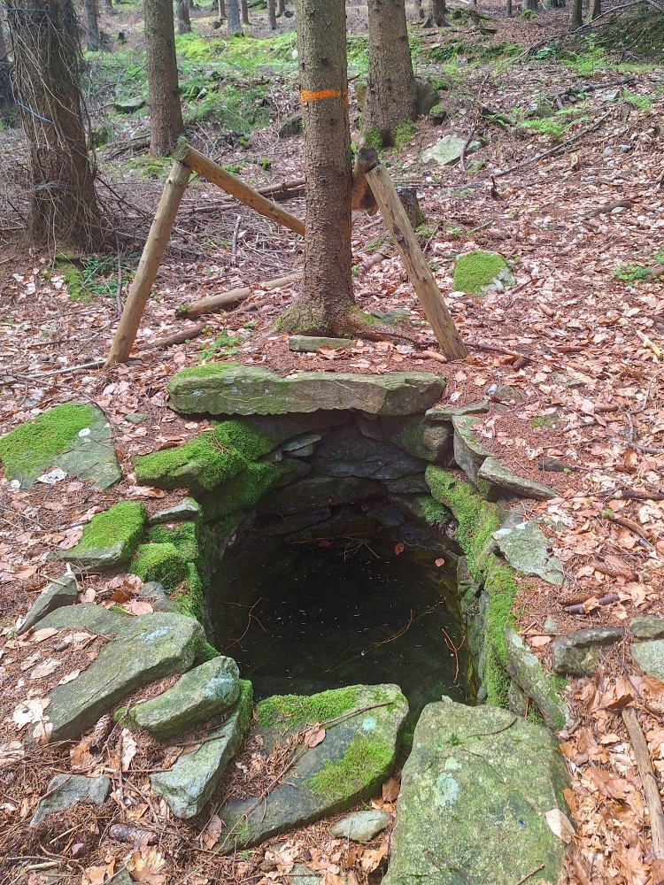 Lesní studánka (15495)