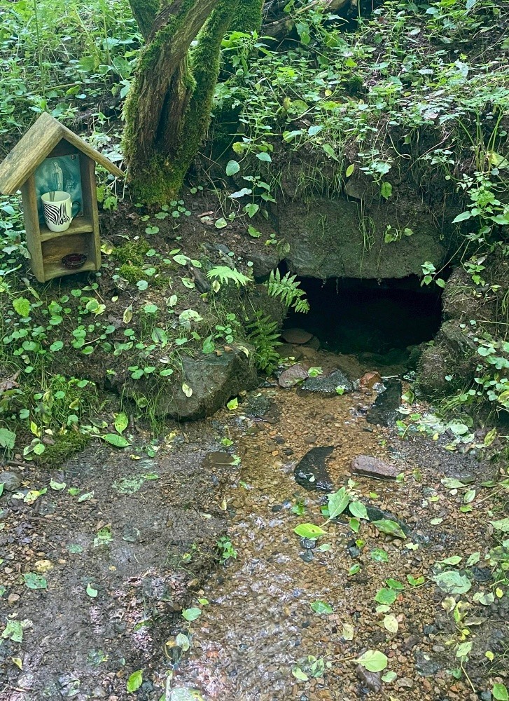 studánka bez jména (15496)