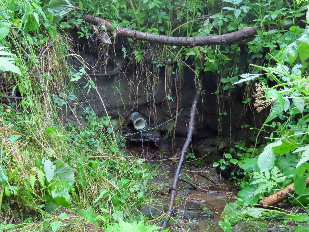 Alojzovská studánka (15499) Alojzovská studánka (15499)
