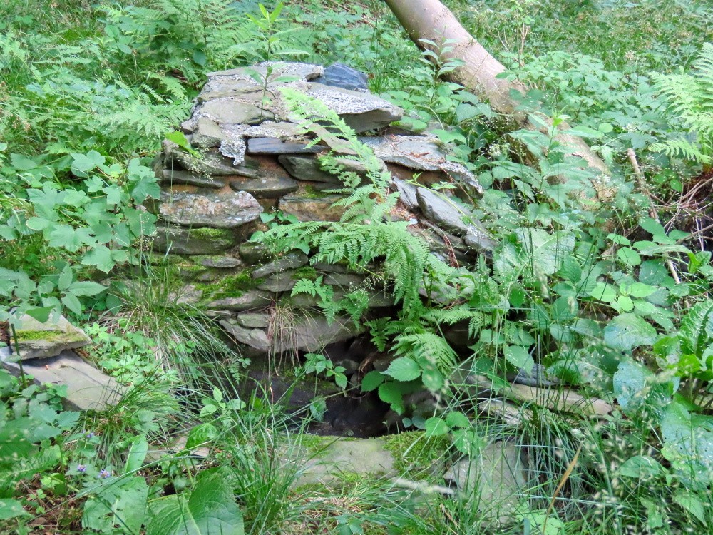 studánka Pod Kopřivným (15501)