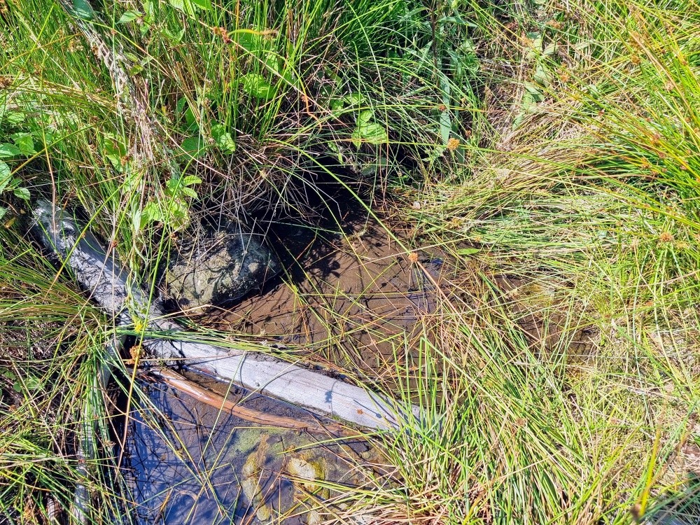 pramen bez jména (15503)