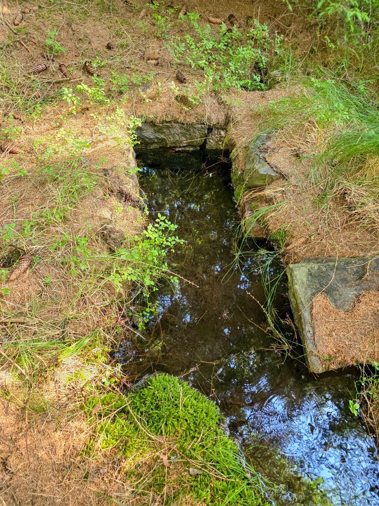 pramen U Baštinské louky (15504) pramen U Baštinské louky (15504)