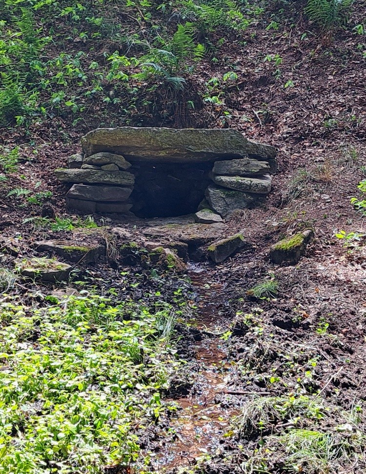 pramen U Brožáka (15508)