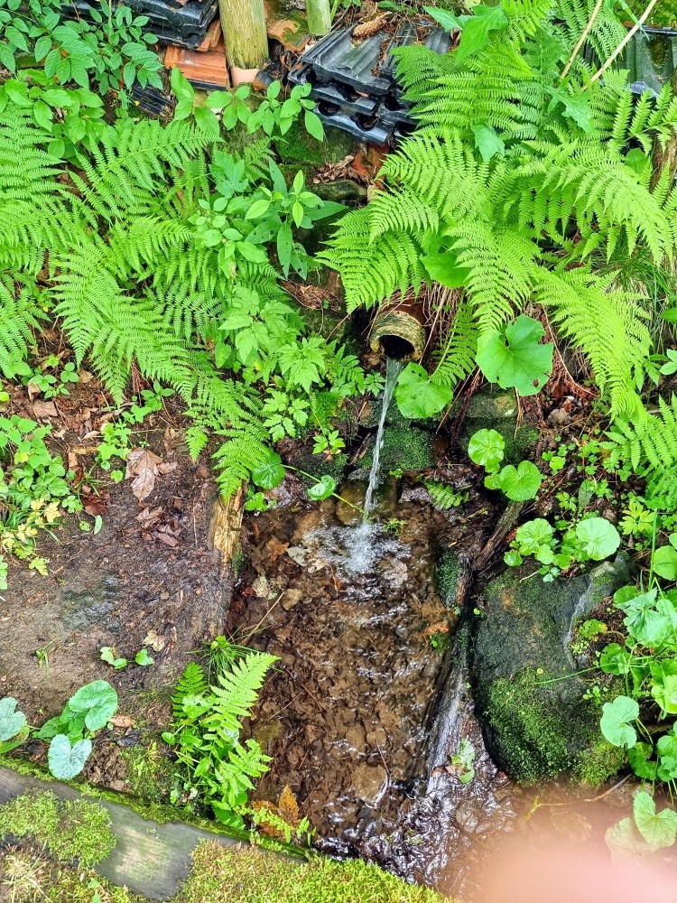 studánka Pramen samoty Hruška (15515)