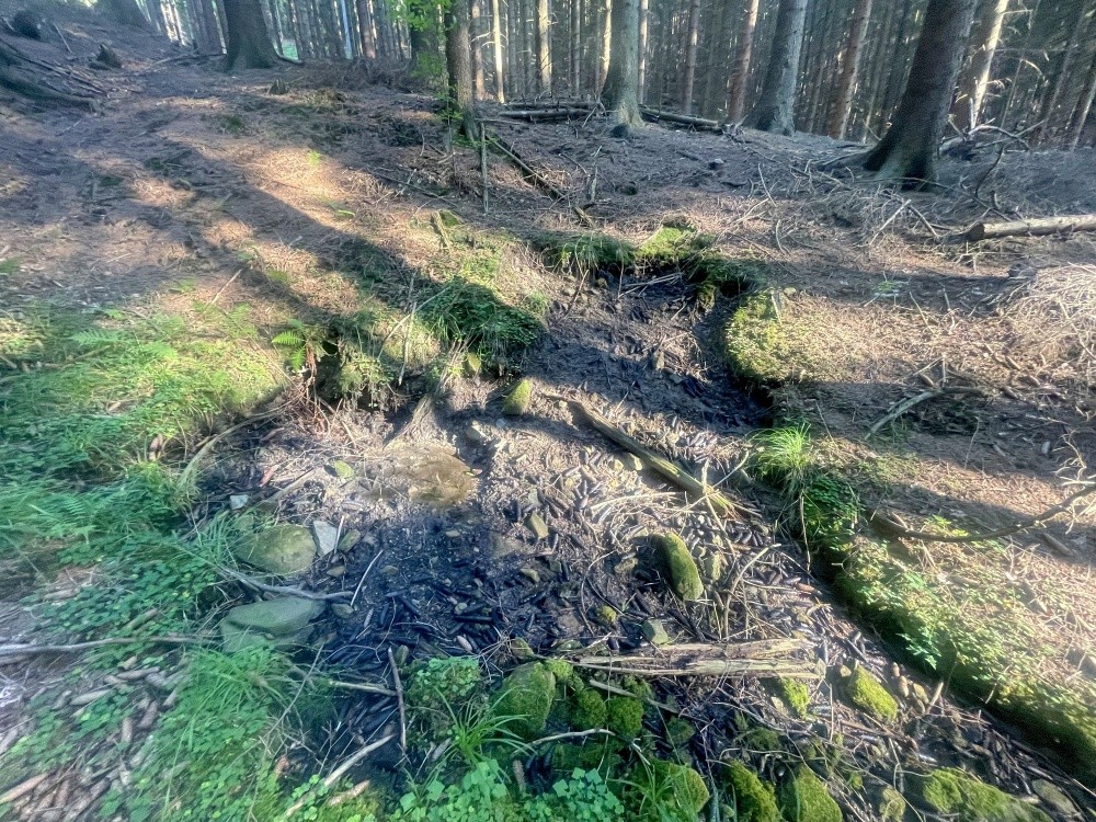 prameniště bez jména (15522)