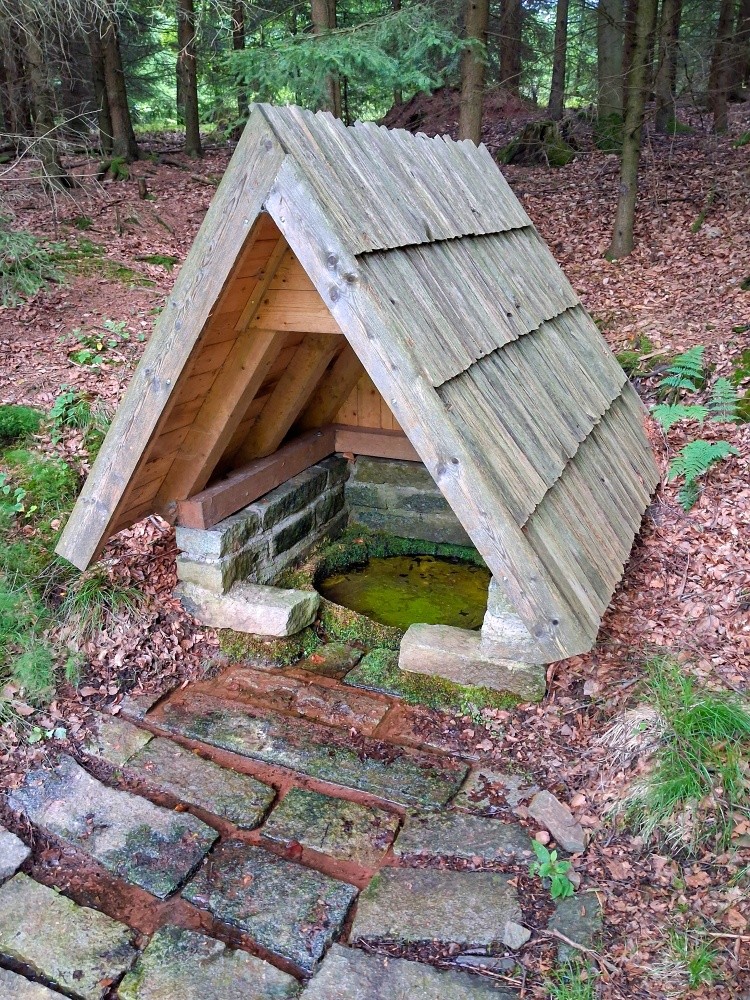 studánka Pod Konojedskou hájenkou (15524)