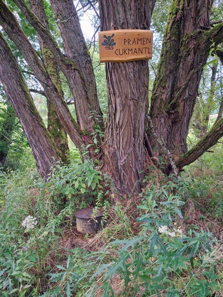 vrt pramen Cukmantl (15525)
