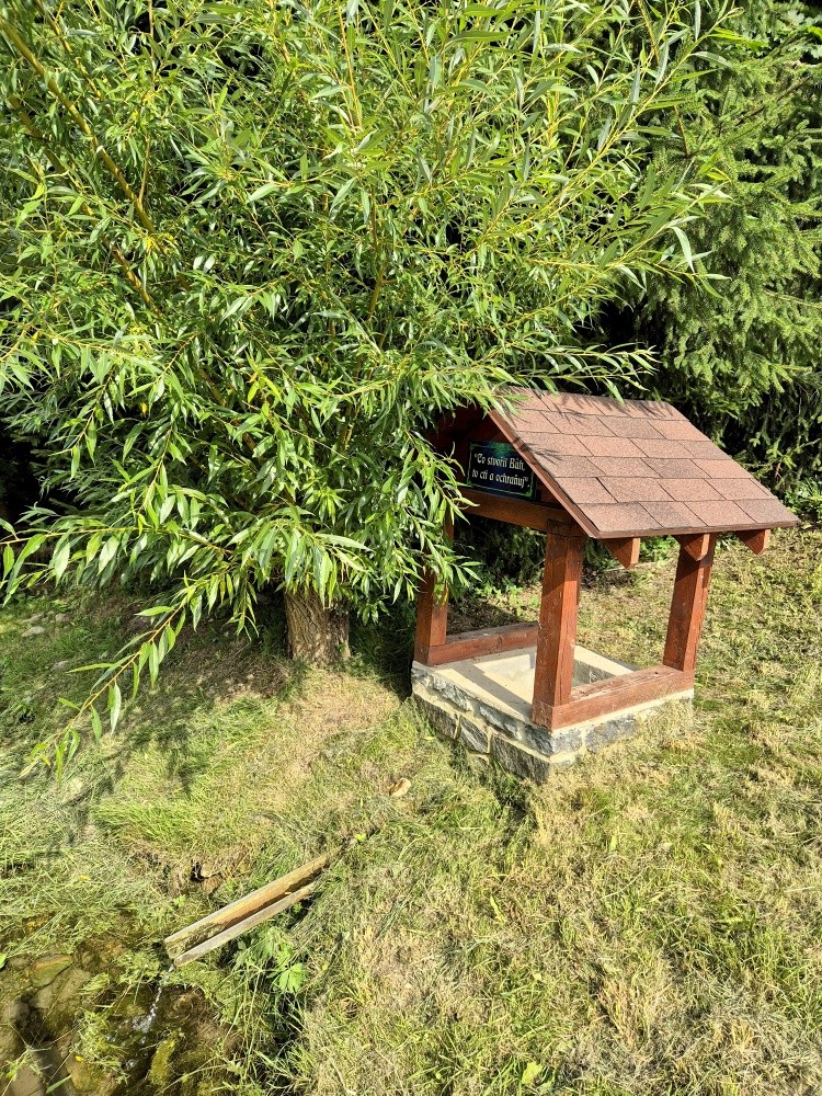 Boží studánka (15527)