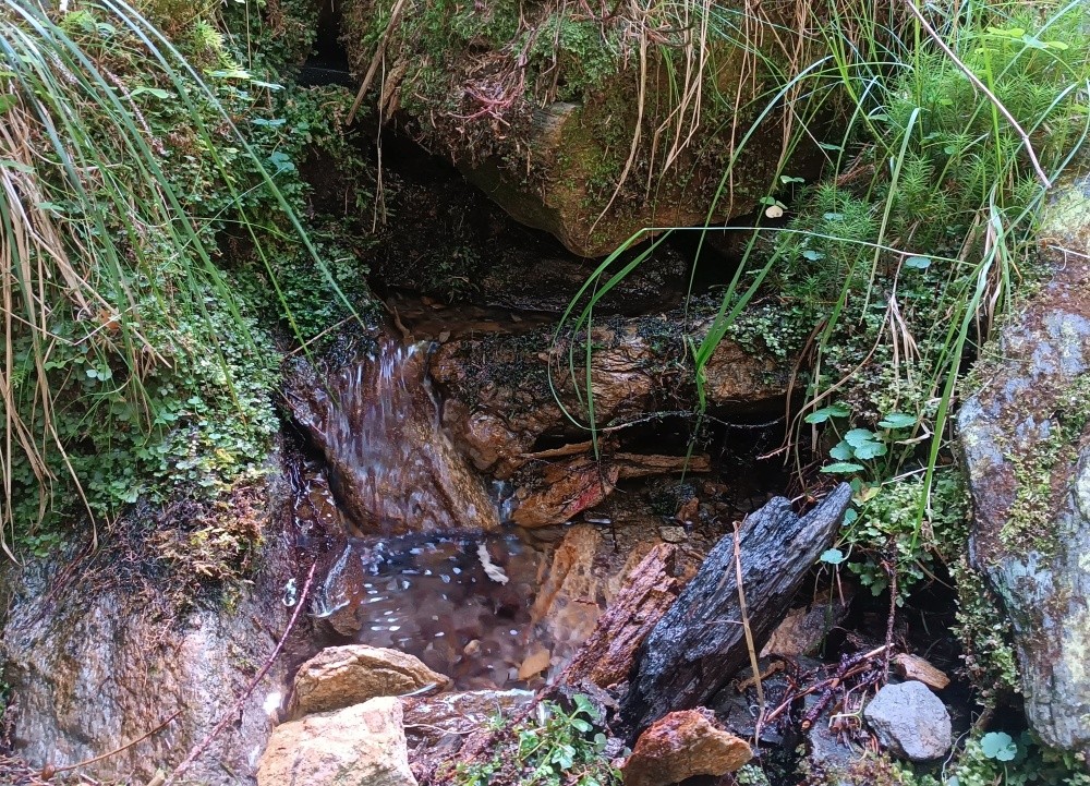 pramen Pod Starou horou (15532) pramen Pod Starou horou (15532)