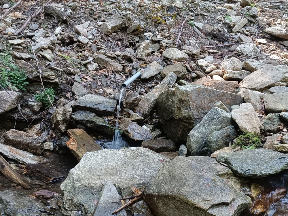 studánka U Podzámecké chaty (15533)