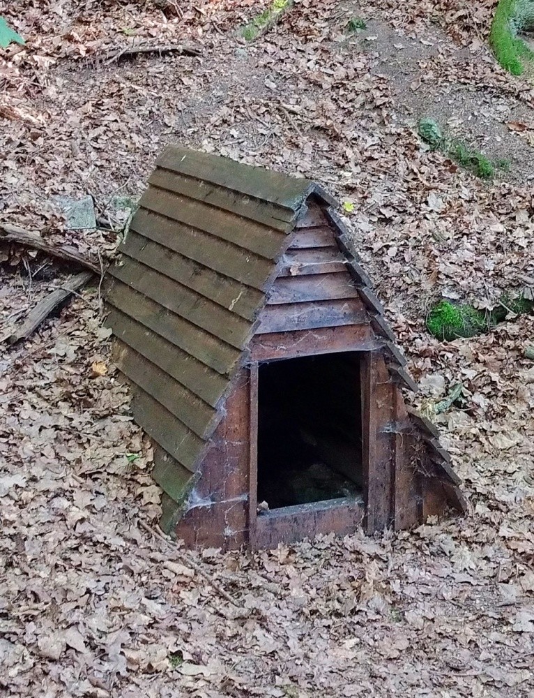 studánka bez jména (15534)