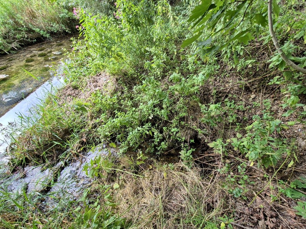 pramen U sádek (15535)