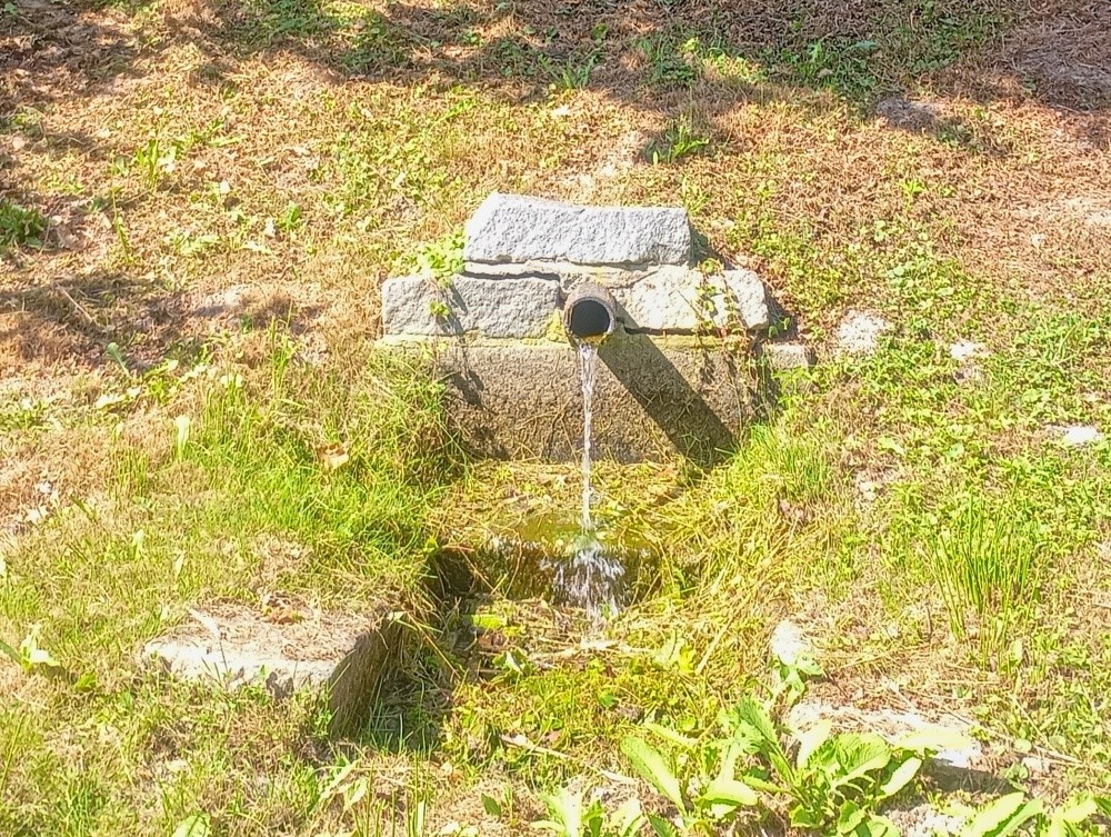 pramen U Bystřinky (15536)