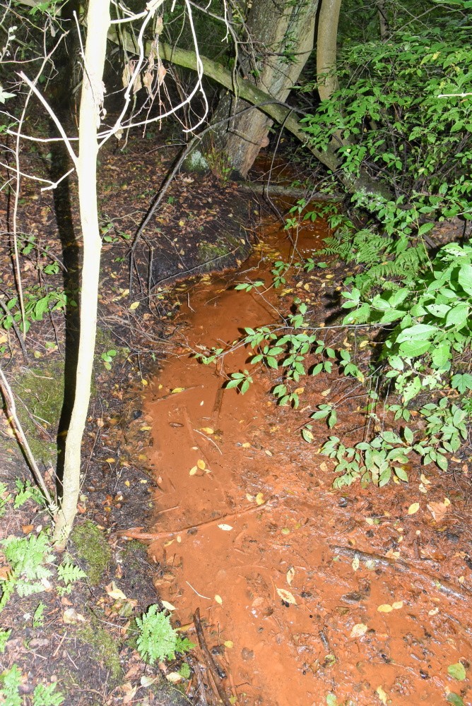 prameniště Minerální pramen (15538)