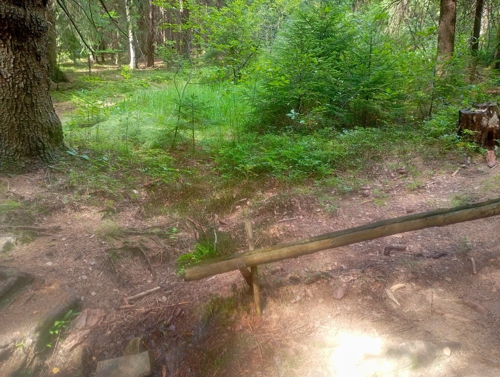 studánka V Boroví (15540)