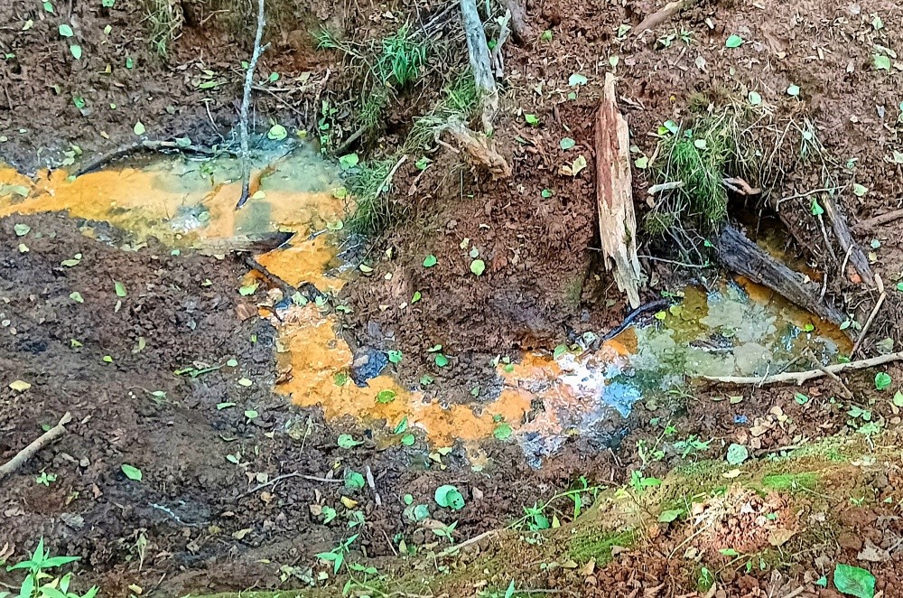 Pramen Markéta (15545) Pramen Markéta (15545)